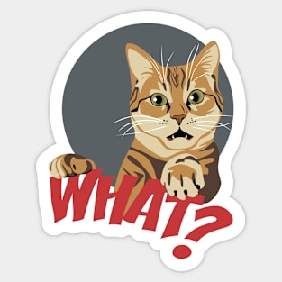 What Cat Sticker